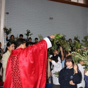 Celebración de Ramos
